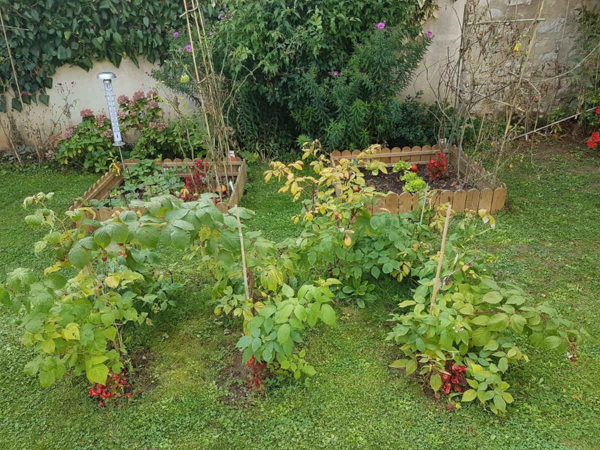 La Montignonne Διαμέρισμα Montigny-sur-Loing Εξωτερικό φωτογραφία